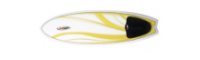 fish surfboard